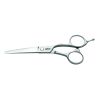 Ножницы прямые Jaguar Gold Line Xenox 6.0 27160